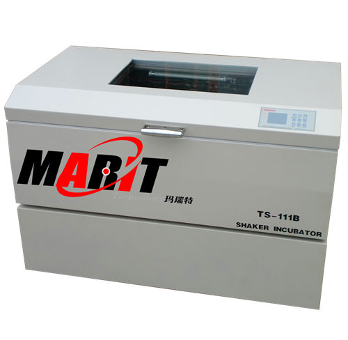 PʽؓuTS-111B